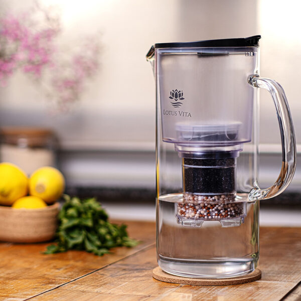 Eine Glas-Wasserfilterkanne steht auf einem Holztisch, gefüllt mit reinem Wasser. Im Hintergrund schaffen frische Zitronen, Minze und Blumen eine helle und natürliche Atmosphäre.
